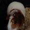 Small img 20150804 wa0005