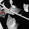 Small avatar